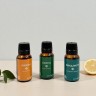 Набор масел эфирных "Главбаня"(лимон, сосна, эвкалипт), 3х15мл