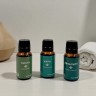 Набор масел эфирных "Главбаня"(пихта, мята, эвкалипт), 3х15мл