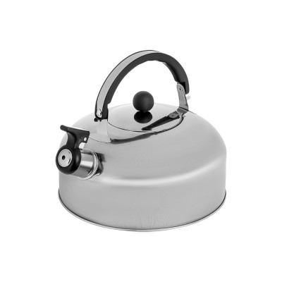 Чайник стальной 2,5л индукция