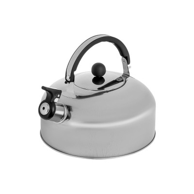 Чайник стальной 2.5л, индукция, RWK007