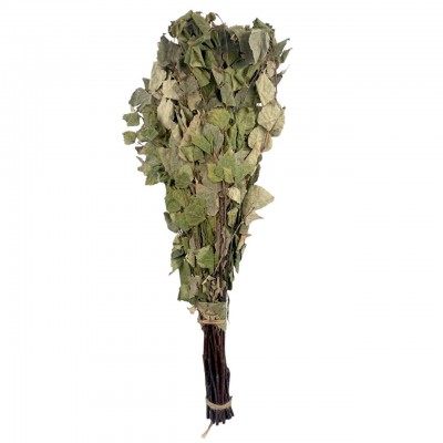 Веник березовый (25)