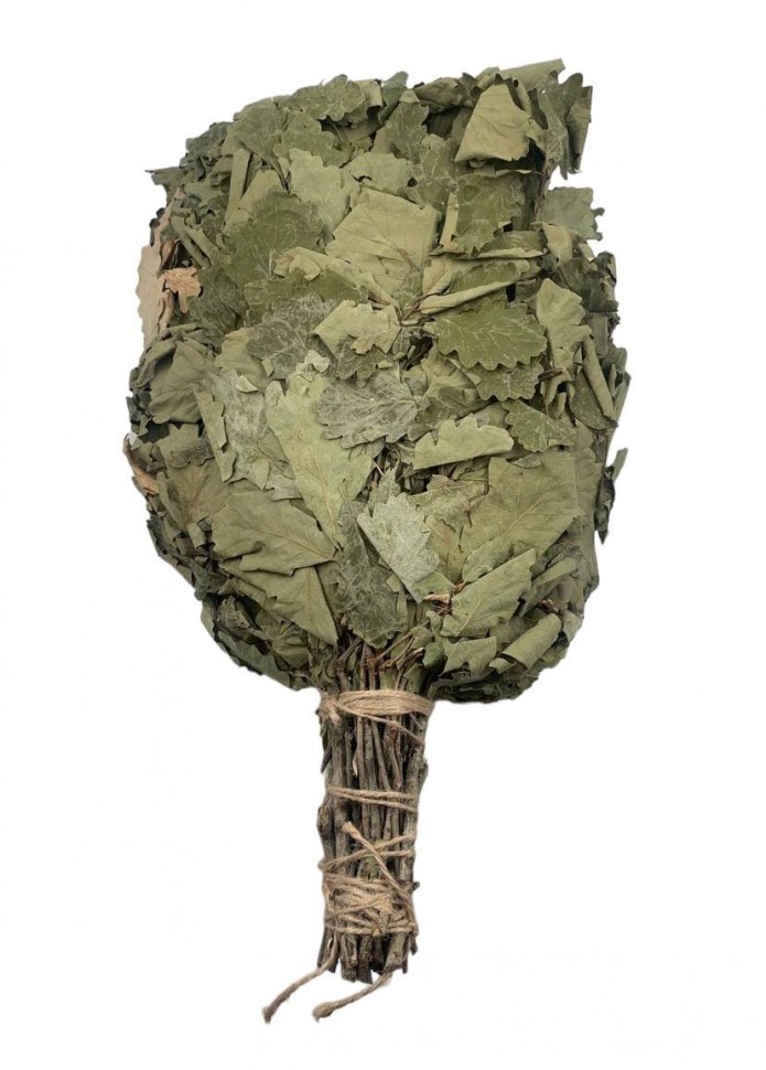 Веник дубовый большой кавказский дуб (20)