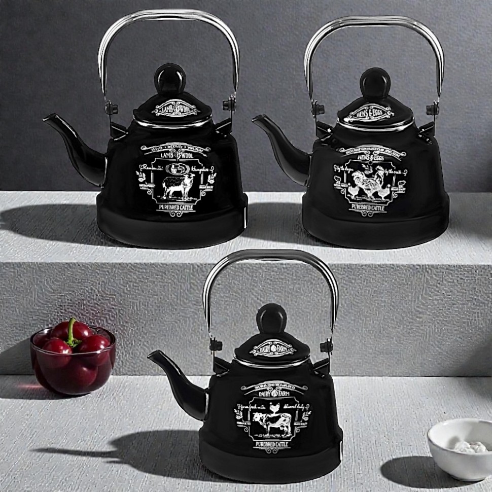 Чайник эмалированный Ранчо 1,1 л, 3 дизайна, индукция