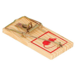 От грызунов